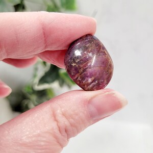 Puede incluir: Una gema pulida, de forma ovalada, con un tono burdeos intenso, acentuada por vetas marrones y toques blancos. La piedra se sostiene entre dos dedos, mostrando su forma lisa y redondeada y sus variaciones naturales de color y textura.