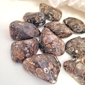 Peut inclure: Une collection de pierres polies de forme ovale, pr&eacute;sentant un motif unique de taches et de tourbillons bruns, beiges et cr&egrave;me. Les pierres ont une finition lisse et brillante et varient en taille. Ces pierres d&eacute;coratives sont id&eacute;ales pour les collectionneurs.