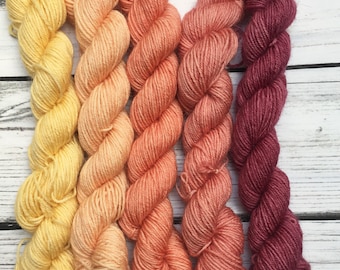 Sangria SW BFL Mini Skein Set 100g 400M