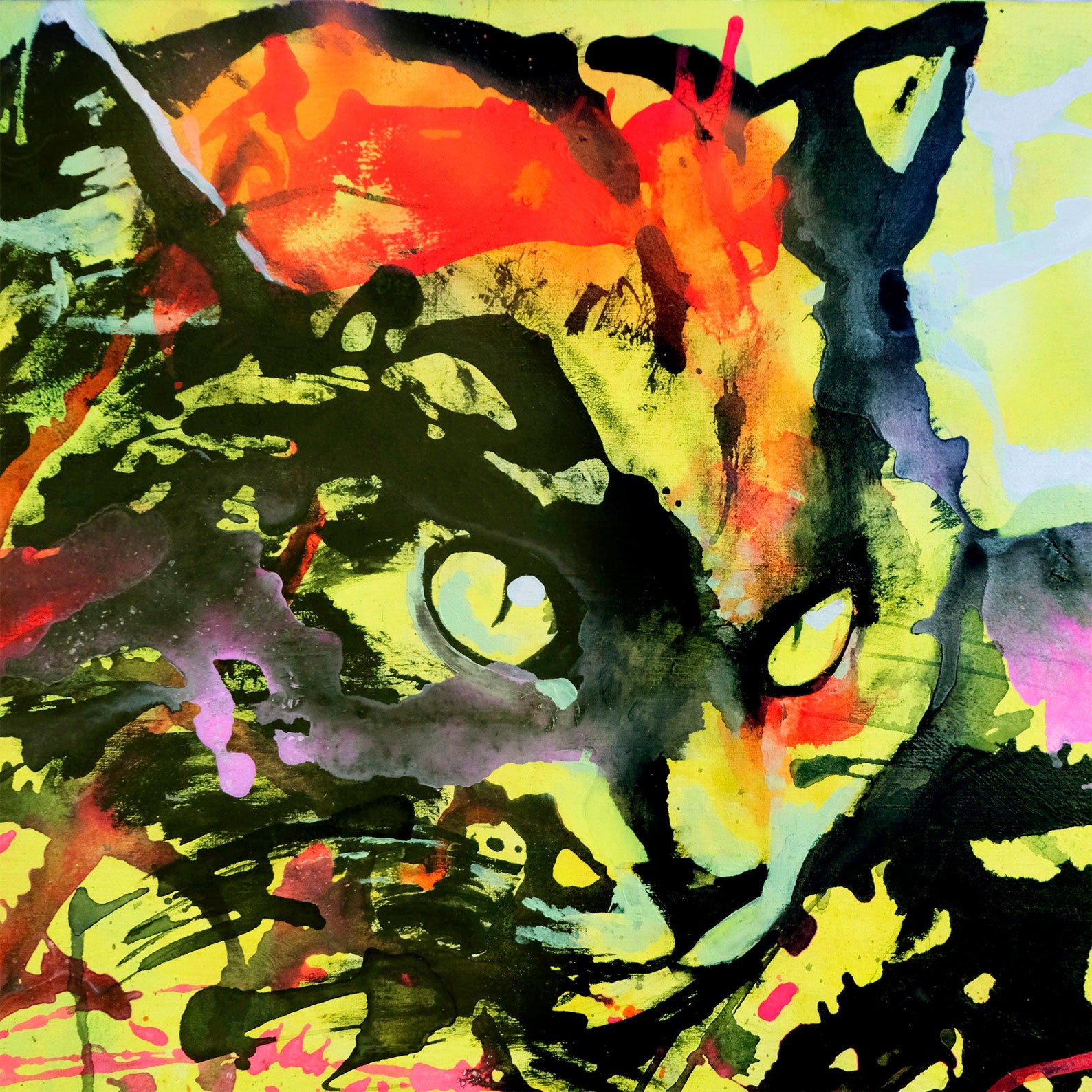 Original cat painting Yellow pet portrait Acrylic animal | Etsy