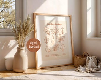 Póster botánico de hojas de árbol otoñal, arte mural natural vintage, follaje imprimible y decoración botánica, póster educativo sobre la naturaleza.
