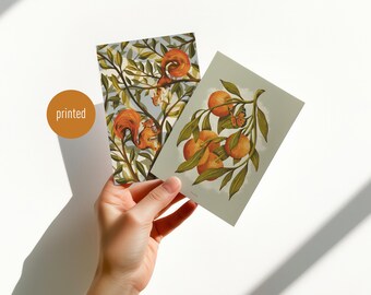 Postales ilustradas dúo: ardillas y naranjas. Juego de 2 tarjetas de naturaleza. Postal de arte botánico.