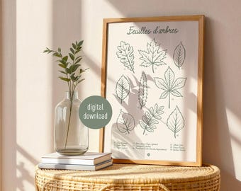 Póster botánico de hojas de árbol, arte mural natural vintage, follaje imprimible y decoración botánica, póster educativo de naturaleza.