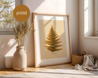 Póster "Helecho": ilustración botánica, arte mural natural, decoración mural con plantas