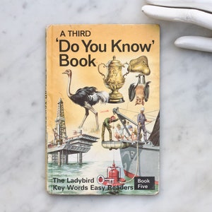 Ein drittes &#39;Kennen Sie&#39; Buch - Ein 1970er Jahre Marienkäfer Schlüsselwörter Easy Reader Serie Buch mit Illustrationen - Vintage Kinder Lernbücher