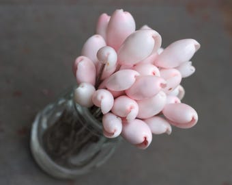 Vintage Pink Seashell Cocktail Picks - Nautical Tablescaping, Set of 30