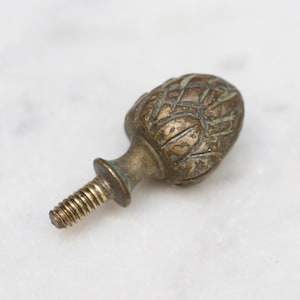 Op de afbeelding: Een messing knop met een gedetailleerd, getextureerd ontwerp dat lijkt op een dennenappel. De knop heeft een schroefdraad om te bevestigen aan meubels of andere voorwerpen.