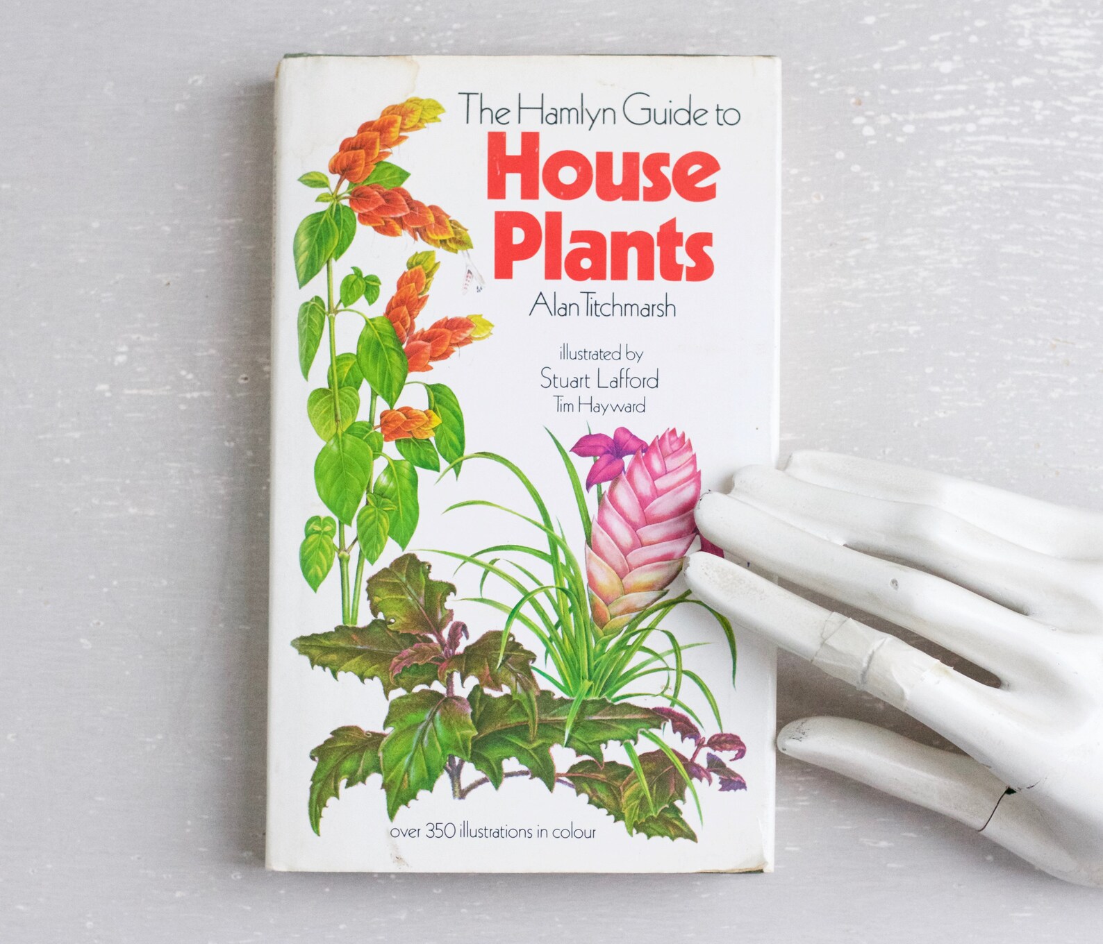 The Hamlyn Guide to House Plants Book With Colorful Etsy