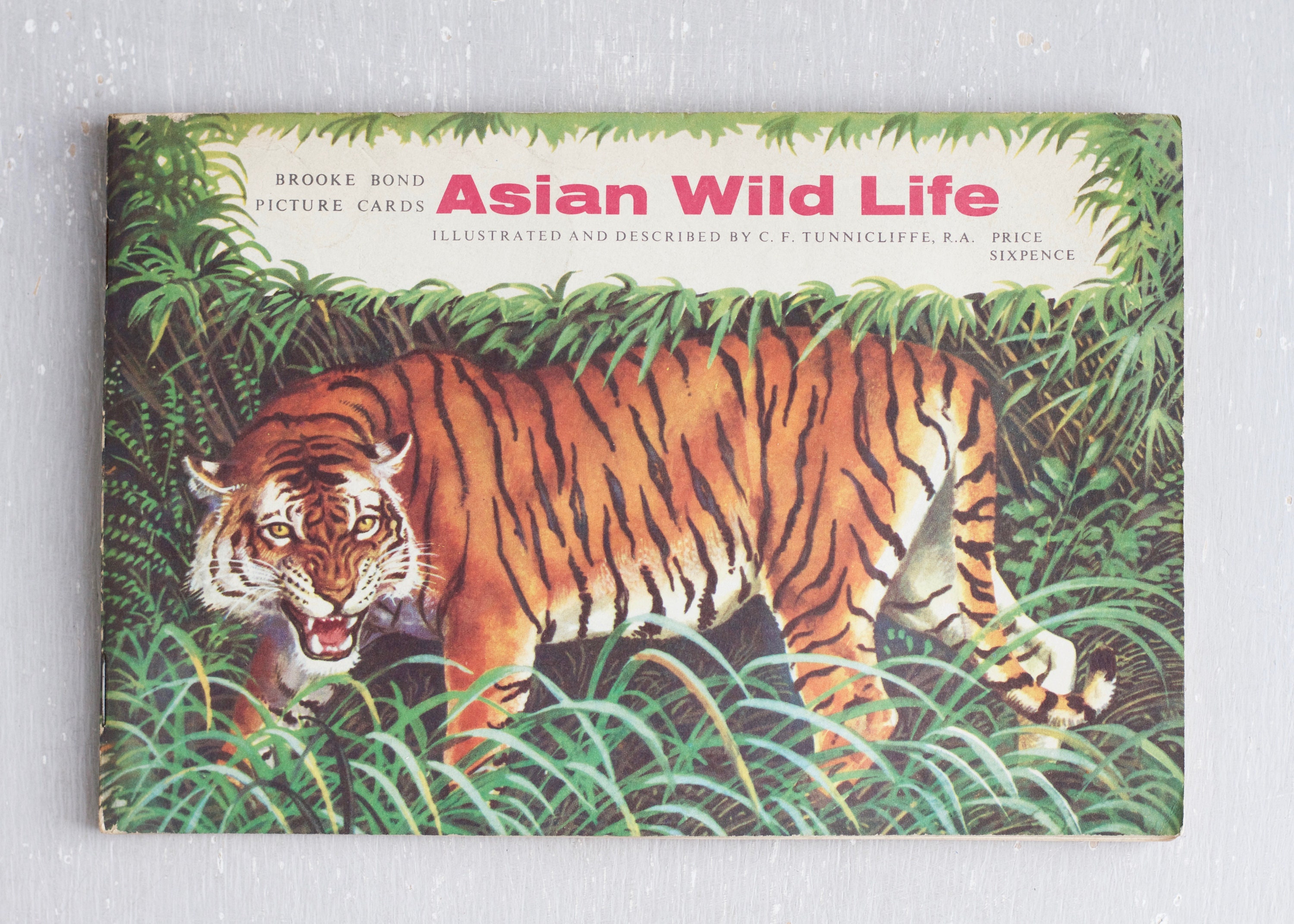 Asian Wild Life Cigarette Picture Card Album - Brooke Bond Picture Cards Il...