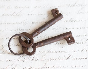 Pair of Old French Skeleton Keys on Keyring - Set or 2 Antique Key - Victorian Prop - Altered Arts Assemblage Supplies and Components