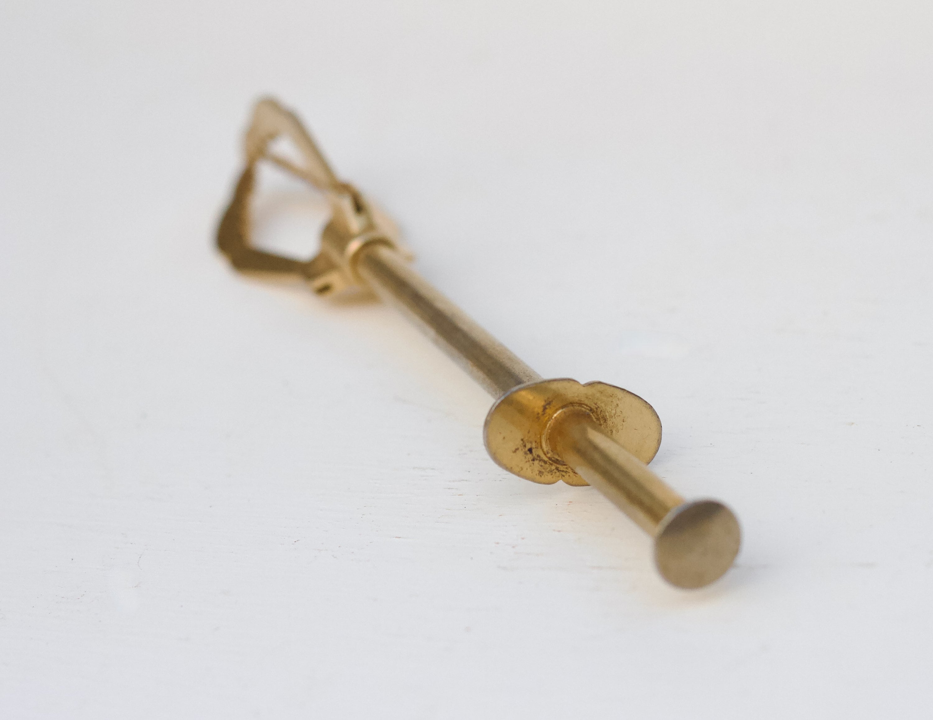 POFET 12-teiliges Ameisen-Obstgabel Set - Witzige Wiederverwendbare Snack-Spieße Für Kinder-Partys