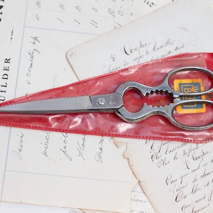 Può includere: Un paio di forbici da cucina argentate con un fodero in plastica rossa. Le forbici hanno una lama seghettata e un manico a molla.