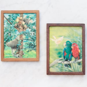 Koalas and Parrots Framed Pair of Lenticular Pictures - Wall Hanging Retro Art - Kitsch Vintage Souvenir from Australia