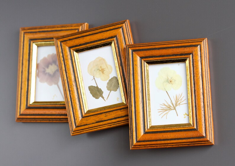 Vintage Framed Dried Flowers Victoriana Revival Pressed Flowers In Small Wooden Frames Set Of 3 Wall Hanging Home Decor Home Decor Floral Arrangements Ideaismt Com Br