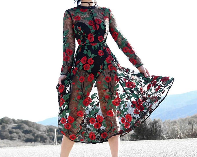 Poppy Floral Embroidery Lace Mesh Midi See Through Dress (size Small ...
