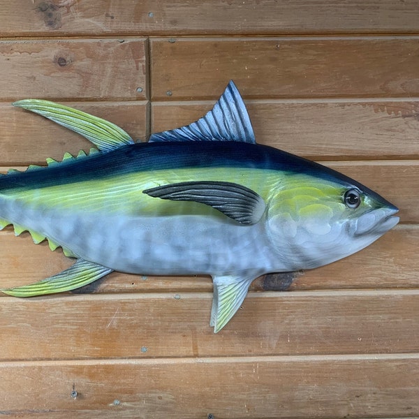 Yellowfin tuna 30 inch Wood carved “ready to ship” wall mount display Carved from pine, with a glass eye and hanger on the back.