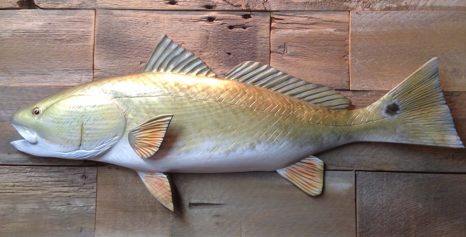 Redfish 27 inch ready to ship Wood carved red drum wall Etsy
