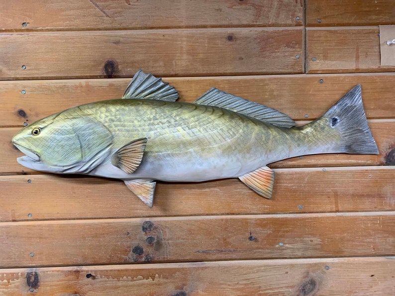 Redfish 27 inch ready to ship Wood carved red drum wall Etsy