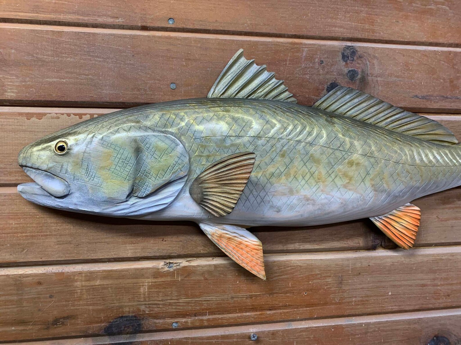 Redfish 27 inch ready to ship Wood carved red drum wall Etsy