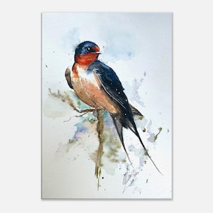Barn Swallow watercolour print, Art print on Canvas, original giclée print from hand painted artwork, Bird paintings, Gift idea, Home decor