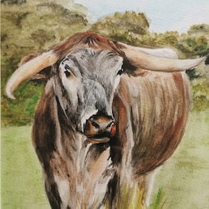 Longhorn Cow Watercolor Painting: Framed Rustic Home Decor