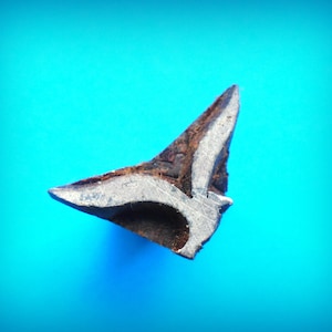 May include: Close-up of a weathered, metal object with a unique, angular shape. The object has a dark, rusty exterior and a lighter, silver-colored interior. The shape is reminiscent of a bird in flight against a bright blue background.