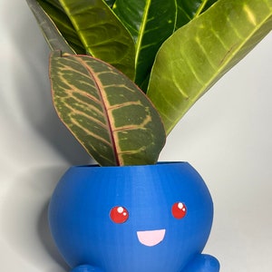 An Oddish Planter for Small Succulents