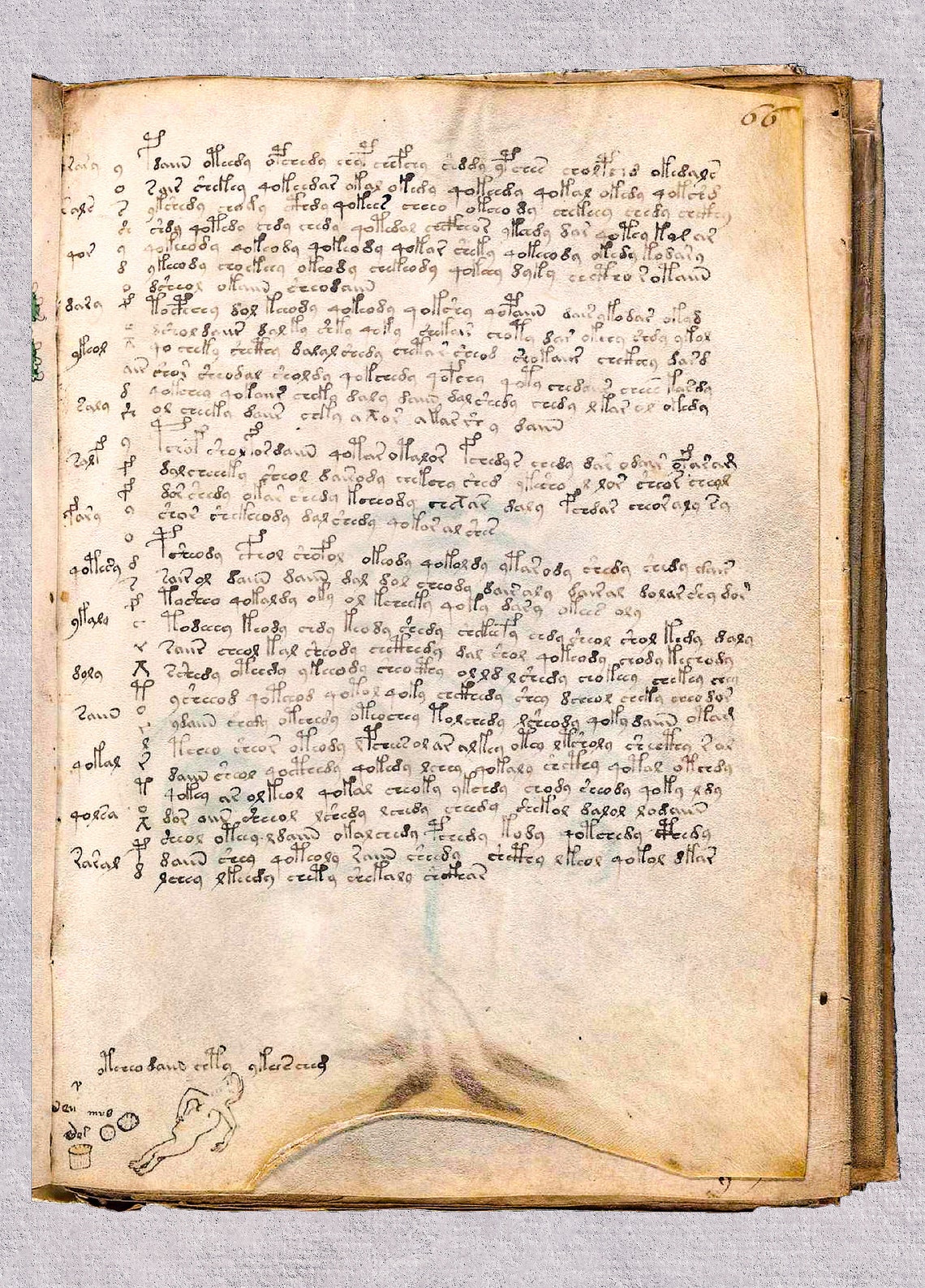 ancient voynich manuscript translation ancient voynich manuscript translation