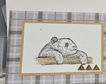 Set aus 4 Panda Grußkarten, innen blanko