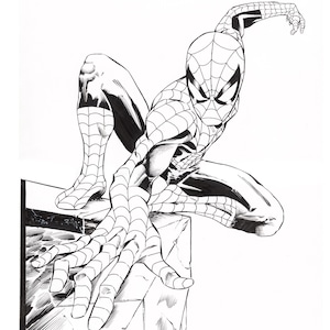 The Amazing Spiderman 11&quot;X17&quot; limited edition autographed print.