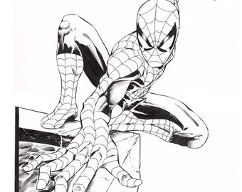 The Amazing Spiderman 11"X17" limited edition autographed print.