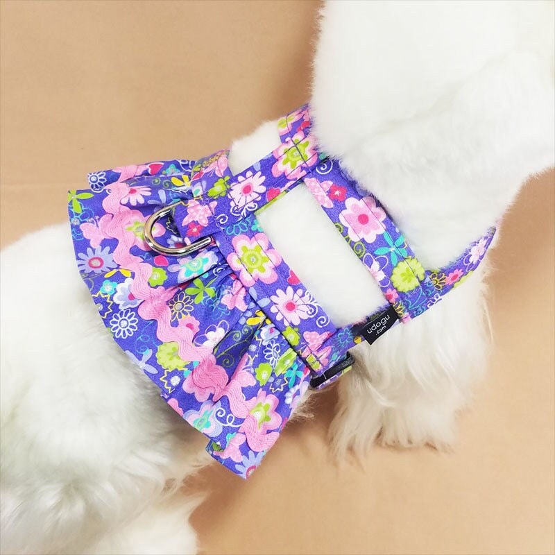 Fancy harnesses for small cheap dogs