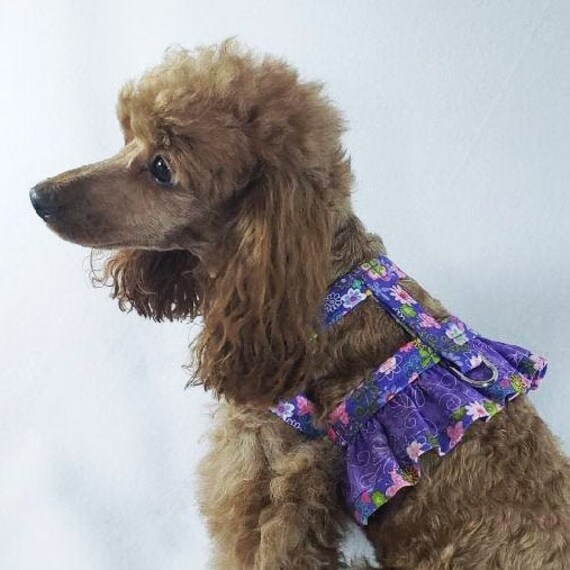 fancy small dog harness
