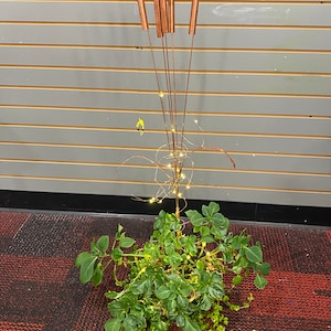 Copper Cattail Windchimes