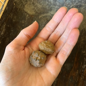 Op de afbeelding: Twee kleine, ronde, bruine, getextureerde objecten. De objecten zijn vergelijkbaar in grootte en vorm en hebben een ruw, onregelmatig oppervlak.