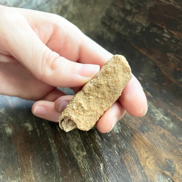 Arizona Fulgurite/Fossilized Lightning