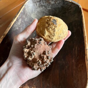 Massive Female & Male Pair of Unique Moqui Marbles/Shaman Stones