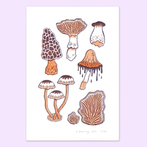 Wild Mushroom risograph art print image 1