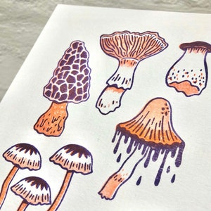 Wild Mushroom risograph art print image 3