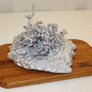 Dansha Farms Ant Hill Art, Aluminum Casting Sculpture. Fire Ants