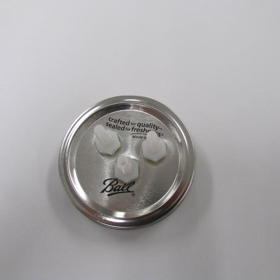 Goat Sheep Cow Milk Machine 1//2 Gallon 2 Teat With Power Supply Dansha Farms™