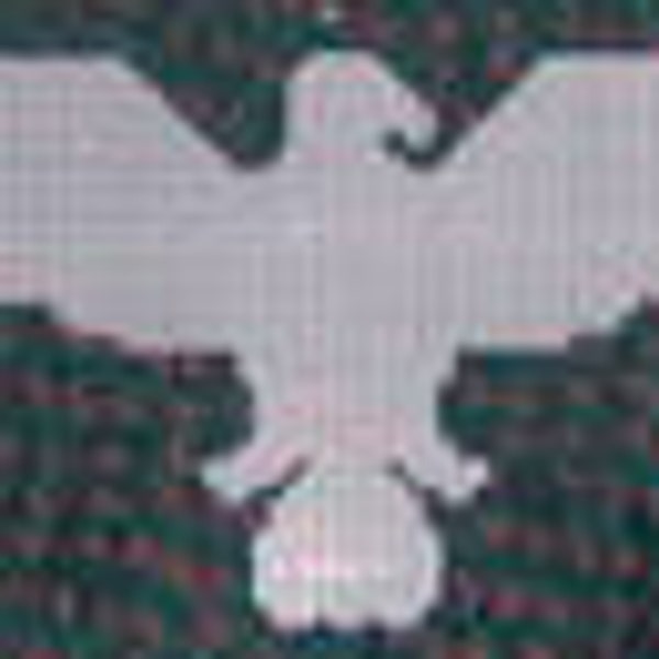 5 precut plastic canvas eagle