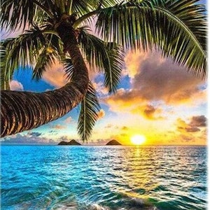 May include: A vibrant sunset over a calm ocean with a palm tree in the foreground. The sky is a mix of orange, pink, and purple, and the water is a deep blue.