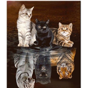 5D DIY 反射する子猫のダイヤモンドアートペインティング 大人と子供用 40 x 30 cm ラウンドラインストーンキャンバス 数字による