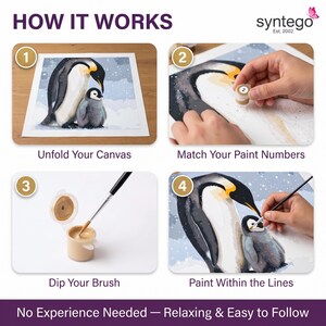 May include: A four-step instructional graphic titled HOW IT WORKS by Syntego. It shows a paint-by-numbers kit featuring an adult and baby penguin. Steps include unfolding the canvas, matching paint numbers, dipping a brush into a small paint pot, and painting within the lines on the canvas. The text at the bottom reads No Experience Needed &mdash; Relaxing & Easy to Follow.