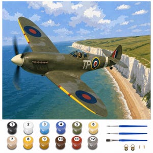 May include: An olive green and gray vintage airplane with yellow and red accents flies over a blue ocean and a white cliffside. The plane has a propeller and the text "TPO" on the side. Paint pots and brushes are included.