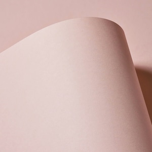 Estratto Estratto Conchiglia Rosa Pallido Carta Contiene Tazze da Caffè Riciclate 130gsm 10 Fogli