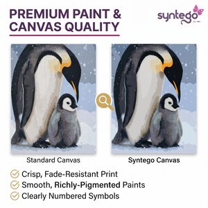 May include: A comparison graphic showing a standard canvas and a Syntego canvas, both featuring an illustration of an adult penguin and a chick. Text includes PREMIUM PAINT & CANVAS QUALITY, Standard Canvas, Syntego Canvas, and feature lists.