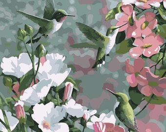Kit Di Pittura Con I Numeri Per Adulti, Peonie Rosa E Farfalle