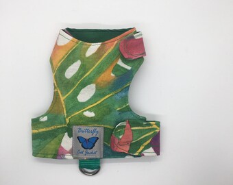 butterfly cat jackets